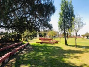 WhatsApp Image 2026-01-20 at 2.58.45 PM (1)