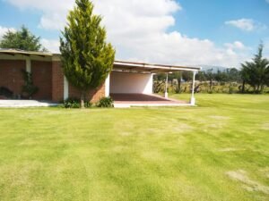 WhatsApp Image 2026-01-20 at 2.58.45 PM (2)