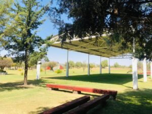 WhatsApp Image 2026-01-20 at 2.58.45 PM