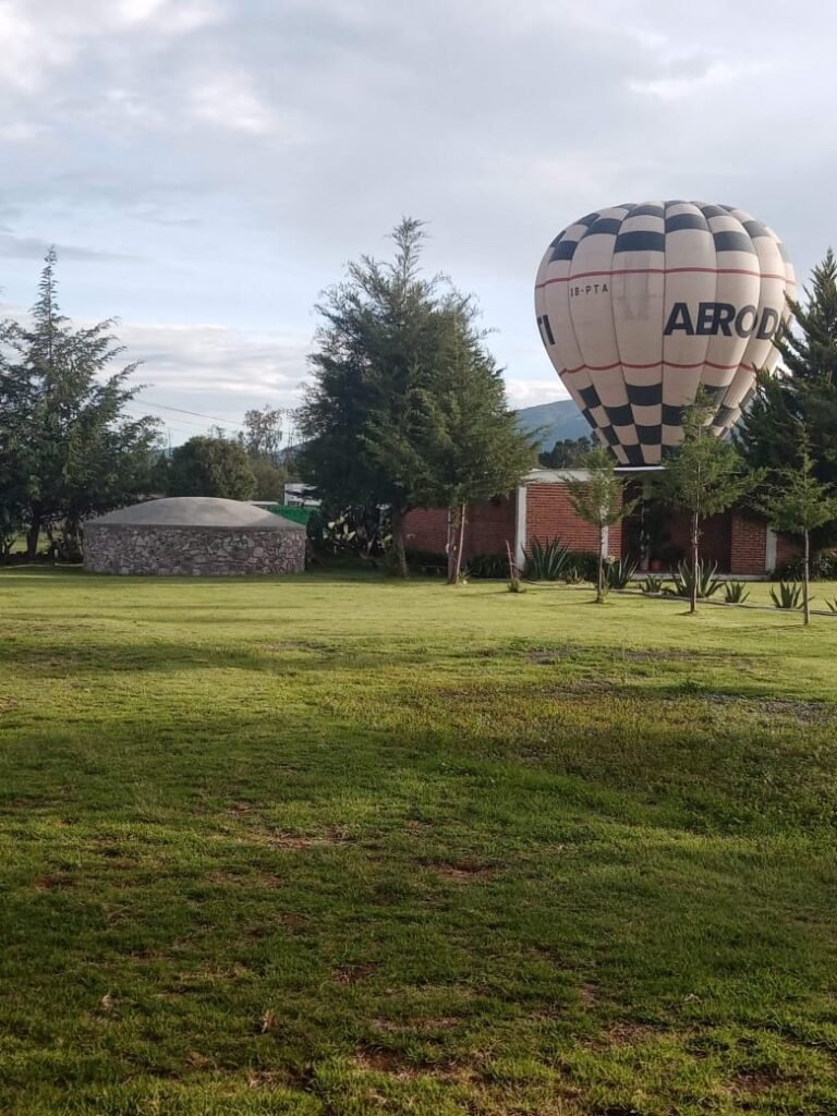 WhatsApp Image 2026-01-20 at 2.58.46 PM (1)