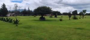 WhatsApp Image 2026-01-20 at 2.58.46 PM (3)